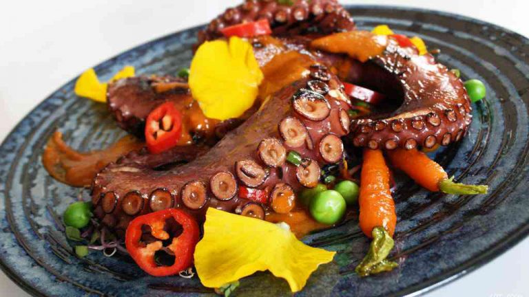 Chobotnice v Gastronomii – Mořská delikatesa z podmořského světa